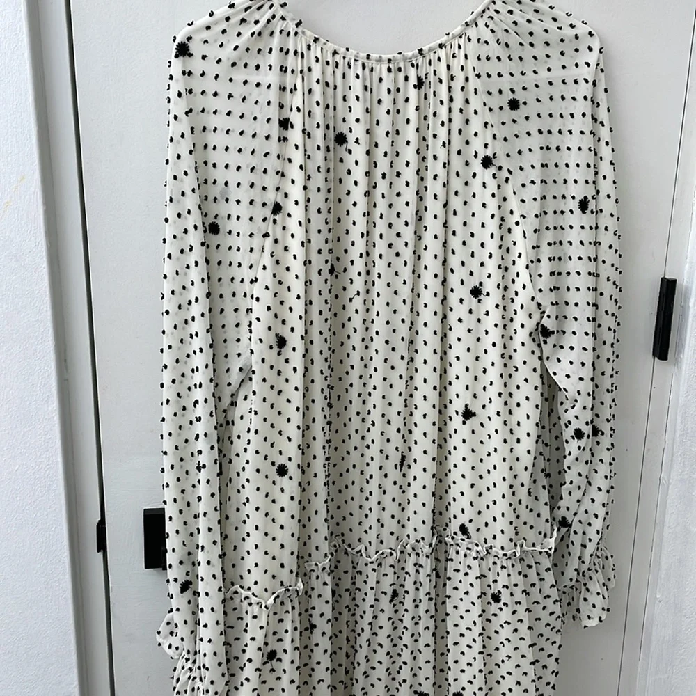 Zara Dotted Mesh Oversized Maxi Dress Size Large L NWT Polka Dots Swiss Dots - Picture 8 of 9